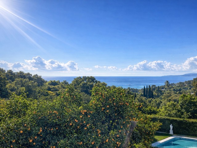 Commercial in Estepona