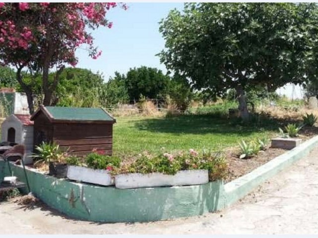  Plot in Estepona
