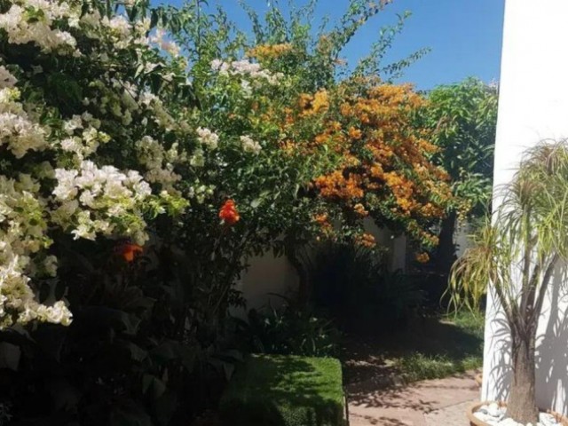 4 Bedrooms Townhouse in Estepona