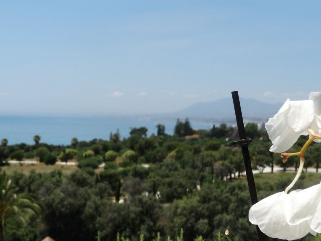 Penthouse avec 3 Chambres  à Río Real