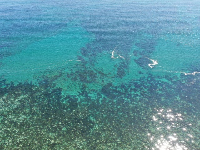  Tomt i Guadalmina Baja