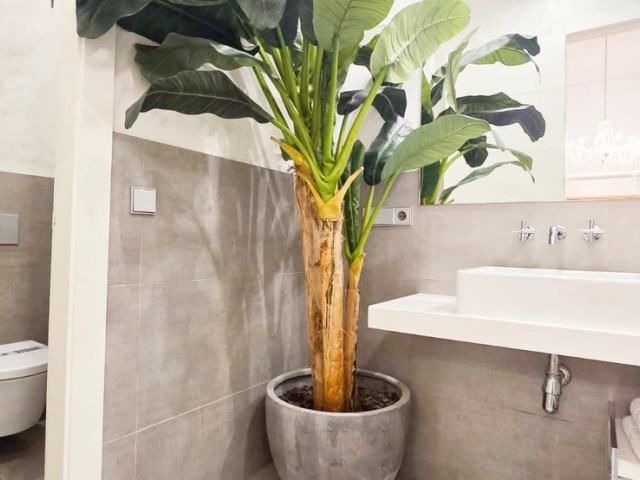 1 Bedrooms Apartment in Málaga Centro