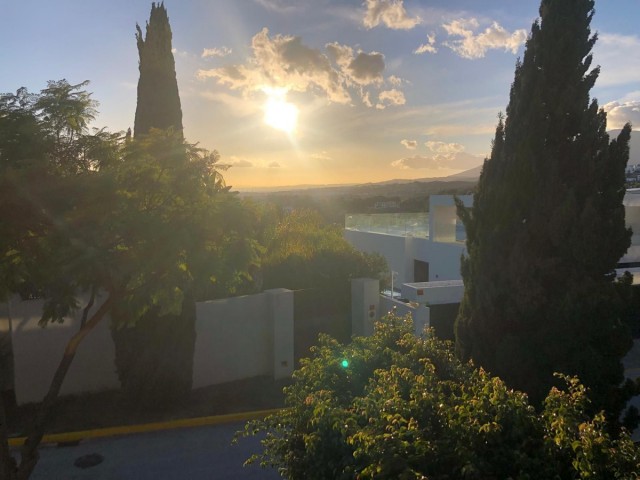 2 Bedrooms Apartment in Los Flamingos