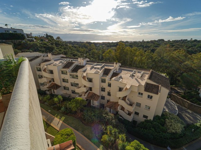 Penthouse in Elviria