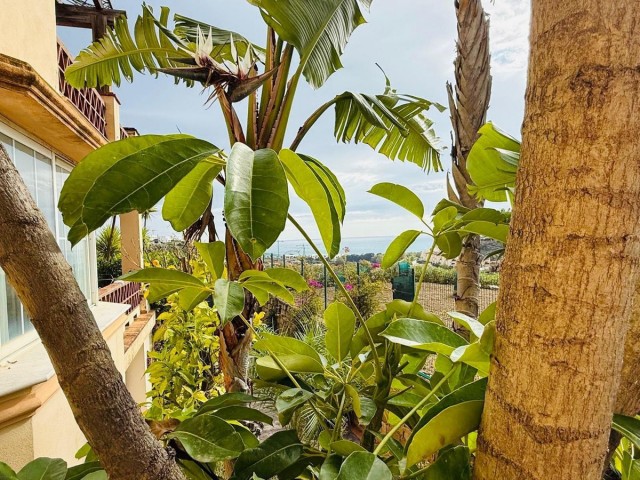 Villa avec 5 Chambres  à Casares