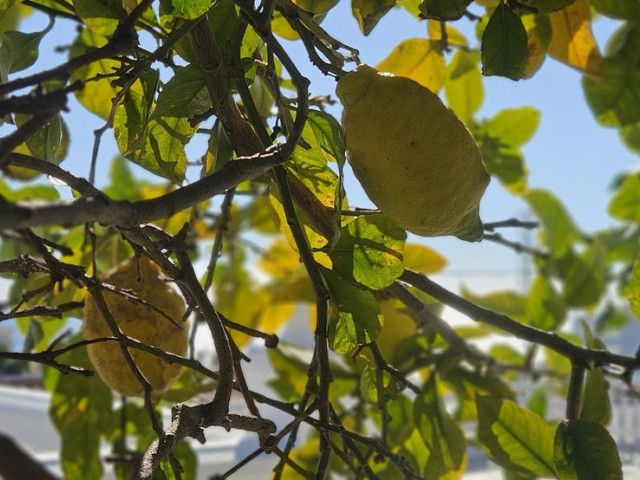3 Slaapkamer Villa in Torreblanca