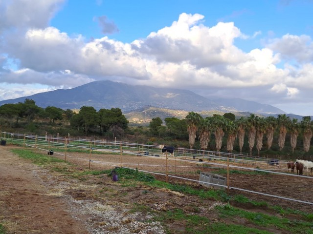 Liikekiinteistö Campo Mijas