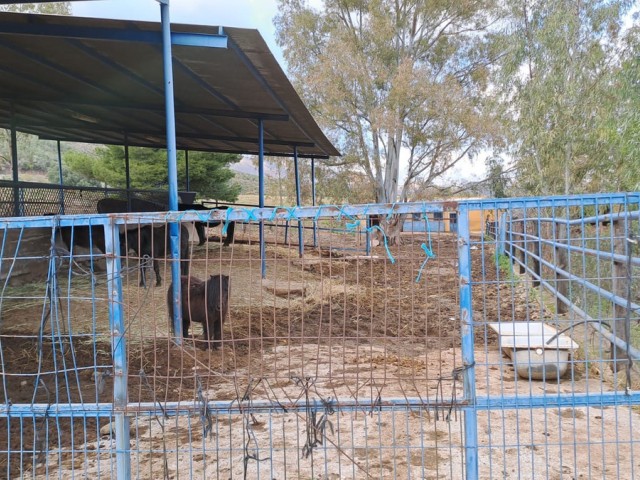 Liikekiinteistö Campo Mijas