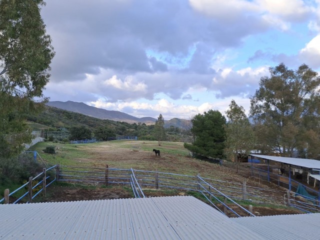 Liikekiinteistö Campo Mijas