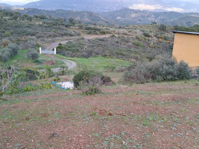 Liikekiinteistö Campo Mijas