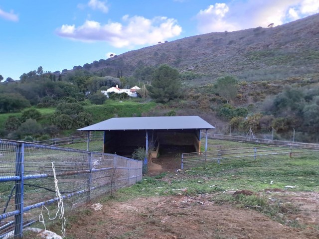 Commercial avec 8 Chambres  à Campo Mijas
