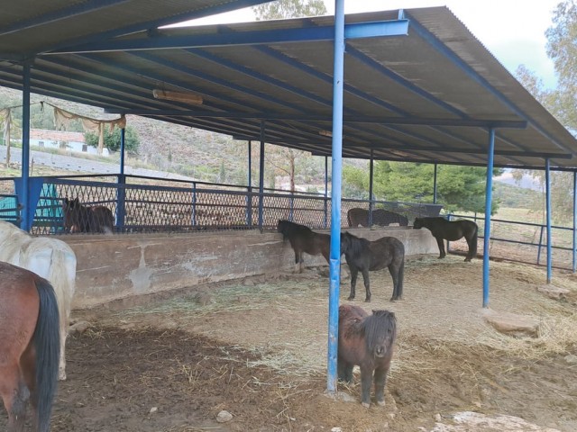 Commercial avec 8 Chambres  à Campo Mijas