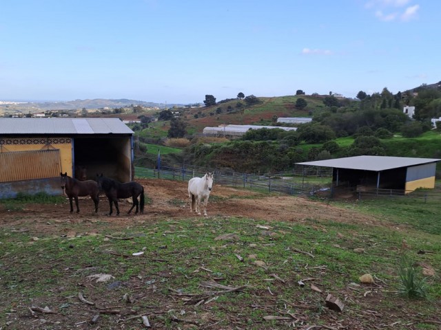 Commercial avec 8 Chambres  à Campo Mijas