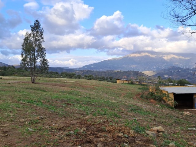 Commercial avec 8 Chambres  à Campo Mijas