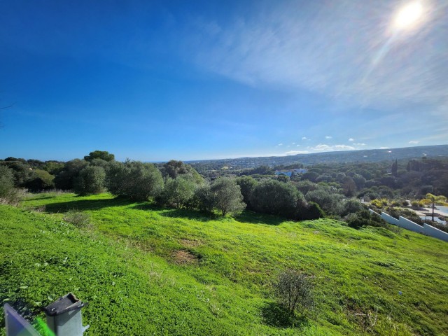  Plot in Sotogrande Alto