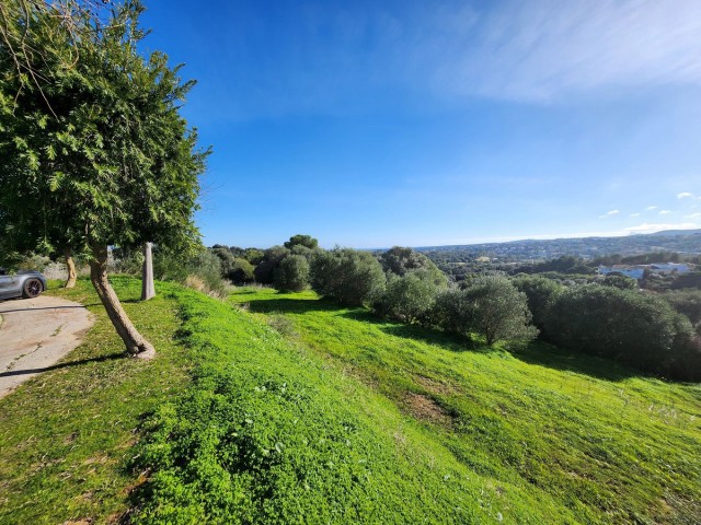  Plot in Sotogrande Alto