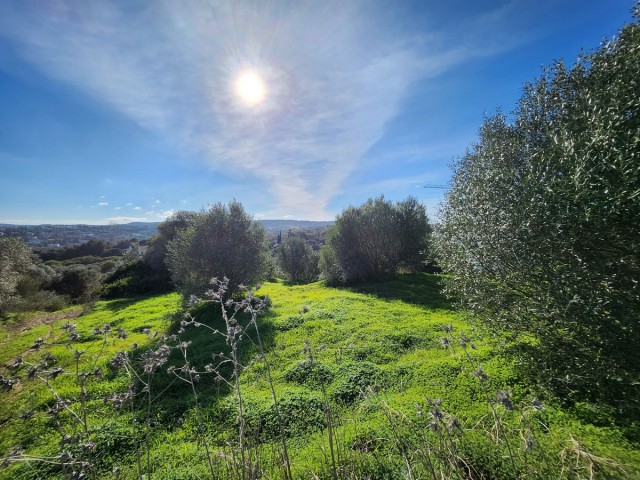  Plot in Sotogrande Alto