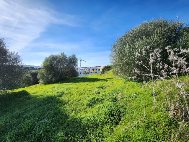  Plot in Sotogrande Alto