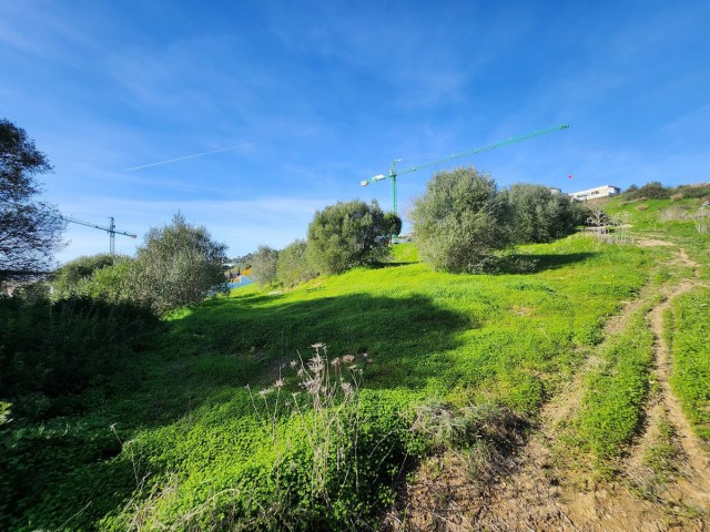  Plot in Sotogrande Alto