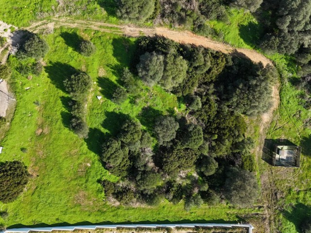  Plot in Sotogrande Alto