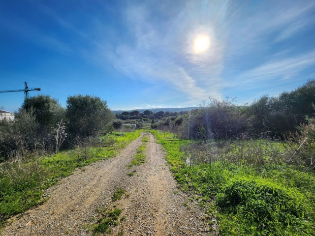  Plot in Sotogrande Alto