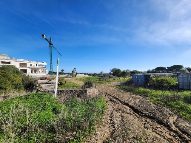  Plot in Sotogrande Alto