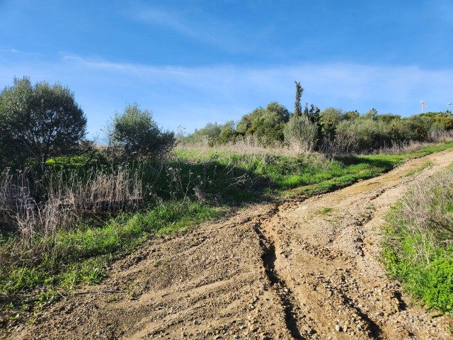  Plot in Sotogrande Alto