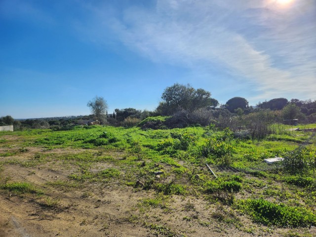  Plot in Sotogrande Alto