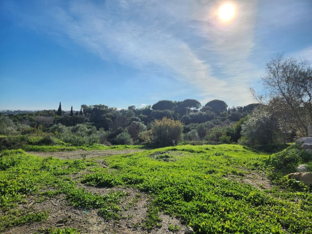  Plot in Sotogrande Alto