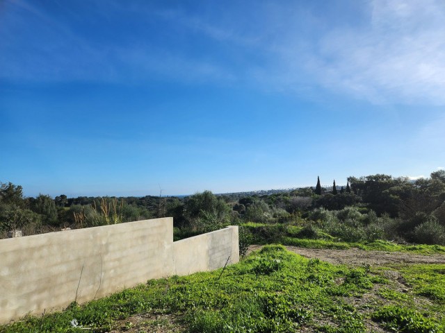  Plot in Sotogrande Alto