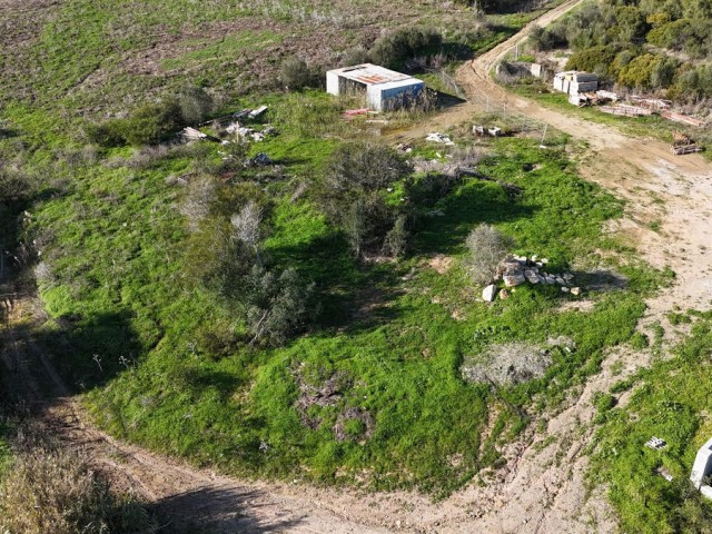  Plot in Sotogrande Alto