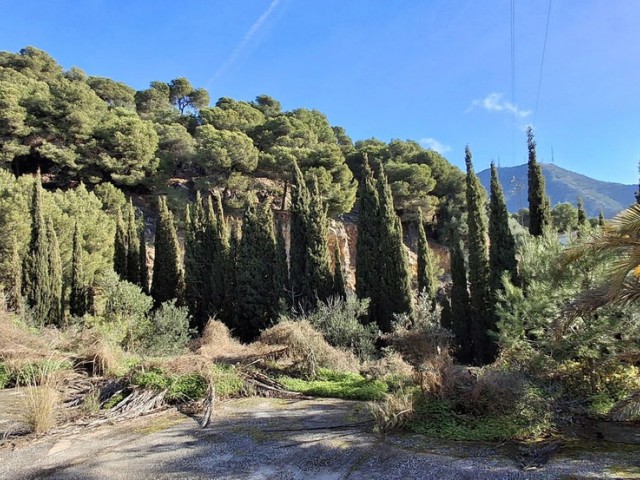  Plot in Mijas
