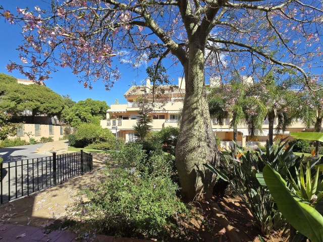 Penthouse in Elviria