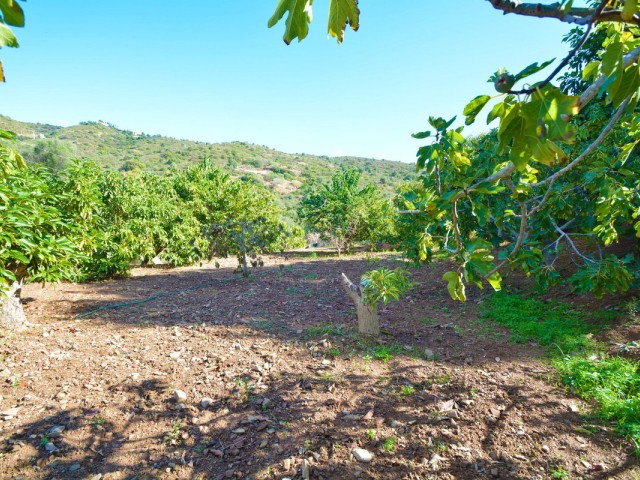 2 Bedrooms Villa in Marbella