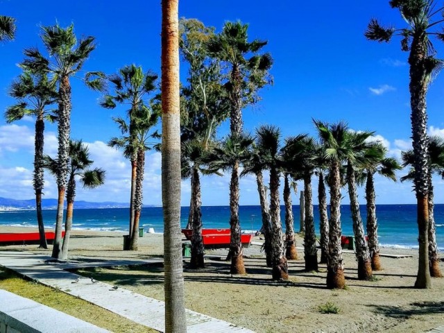 Grundstück San Pedro de Alcántara - R5055886