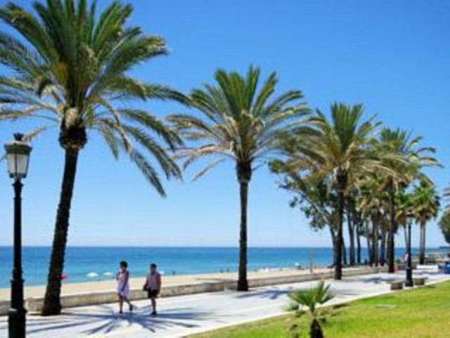  Plot in San Pedro de Alcántara