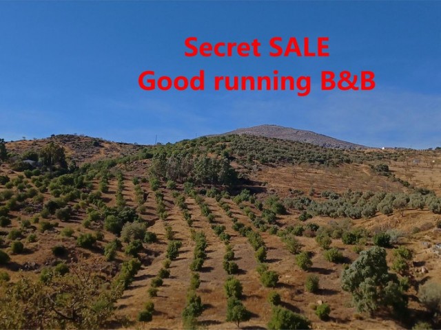 5 Bedrooms Villa in Málaga