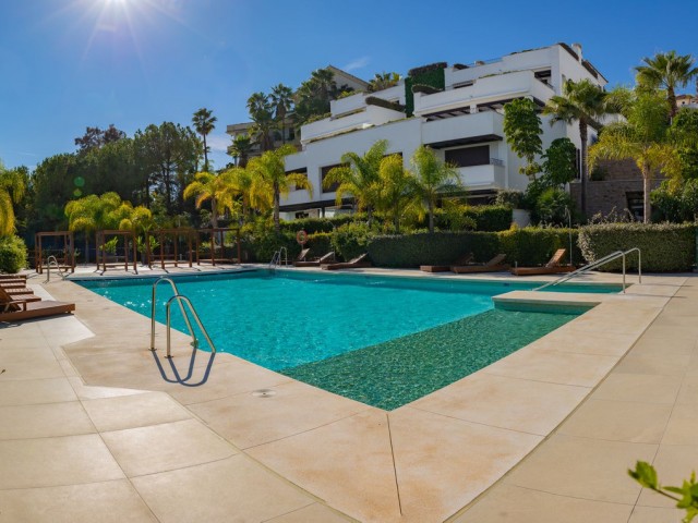 Appartement, The Golden Mile, R5292037