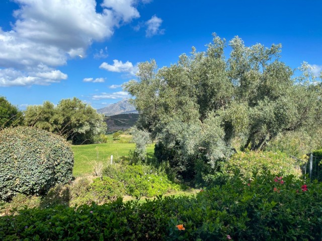 Villa avec 7 Chambres  à El Rosario