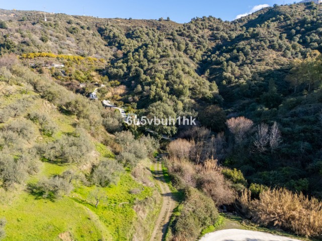 Plot in Ojén
