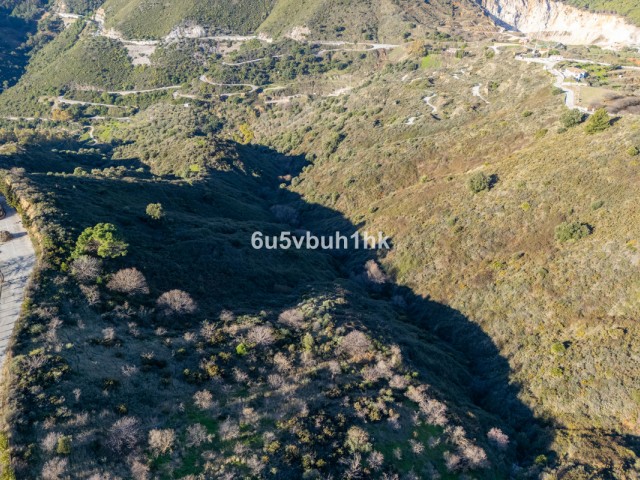  Plot in Ojén