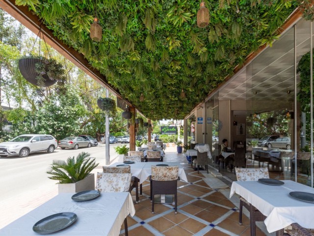 Commercial in Nueva Andalucía