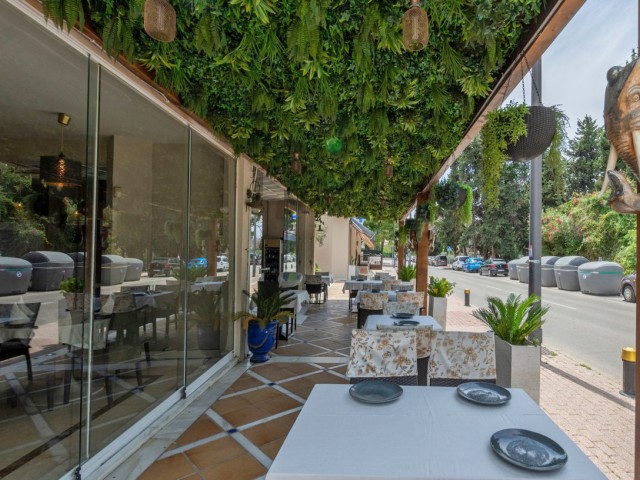 Commercial in Nueva Andalucía