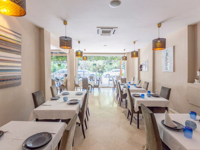 Commercial in Nueva Andalucía