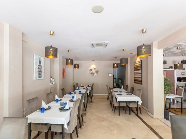 Commercial in Nueva Andalucía