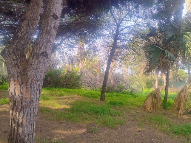  Plot in Hacienda Las Chapas