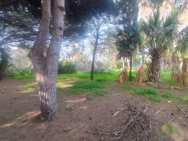  Plot in Hacienda Las Chapas