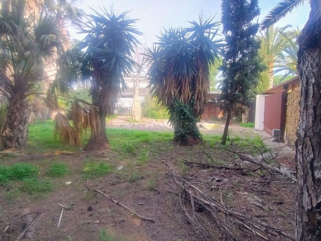  Plot in Hacienda Las Chapas