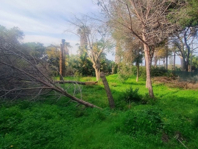  Plot in Hacienda Las Chapas