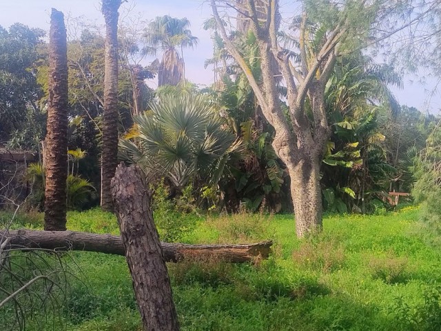  Plot in Hacienda Las Chapas